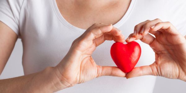 Os benefícios dos chás para a saúde do coração